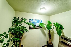 Sea Dragon Pension