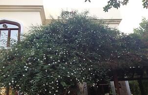 Garden Roomz Oman