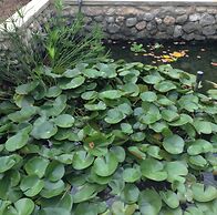 Garden Roomz Oman