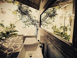 Ceylon Olive