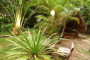Jungle Garden
