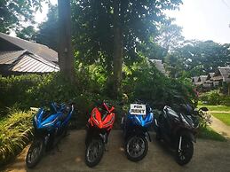Jungle Garden