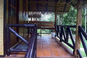Jungle Garden
