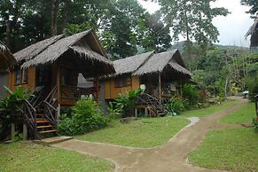 Jungle Garden