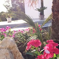B&B Sorahnia Design House