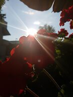 Kurhotel Anders