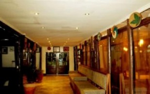 Da Vinci Gorilla Lodge