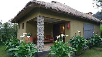 Da Vinci Gorilla Lodge