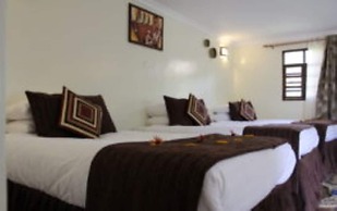 Da Vinci Gorilla Lodge
