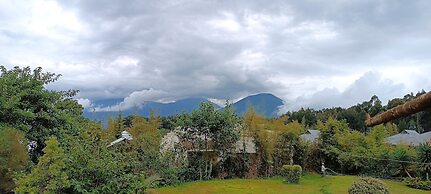 Da Vinci Gorilla Lodge