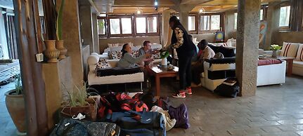 Da Vinci Gorilla Lodge