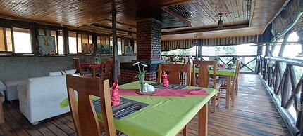 Da Vinci Gorilla Lodge