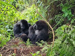 Da Vinci Gorilla Lodge