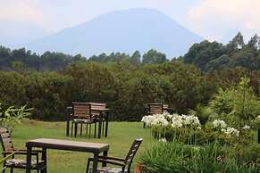 Da Vinci Gorilla Lodge
