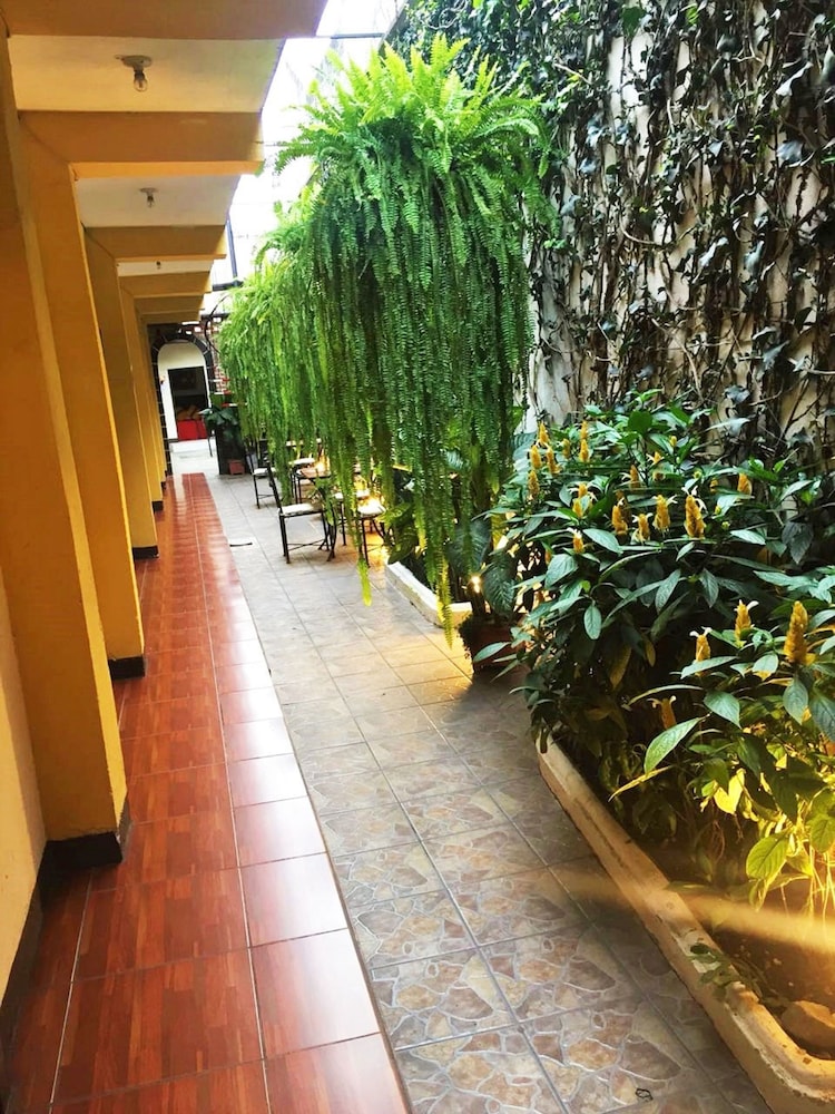 Hostal Antigua - Hostel