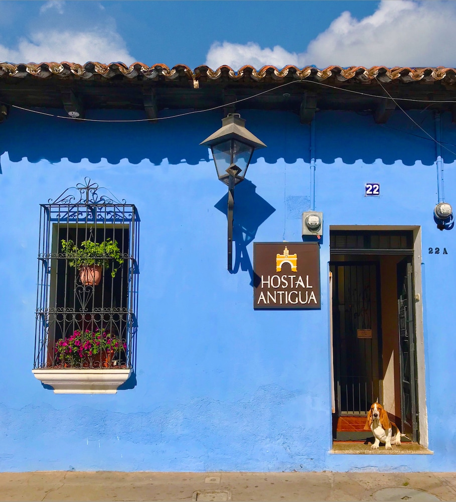 Hostal Antigua - Hostel