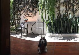 Hostal Antigua - Hostel