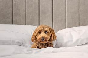 Hotel X Toronto, a Destination by Hyatt Hotel