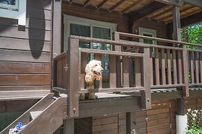 HAL Cottage