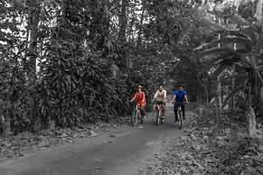 Amritara Riverside Camp, Thattekad
