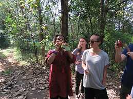 Amritara Riverside Camp, Thattekad