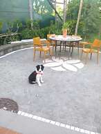 Domus Felix