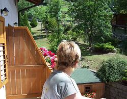 Alpen Hotel Rabbi