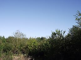 Les Belles Époques B&B