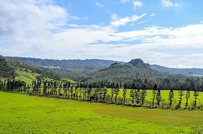 Island On The Sea