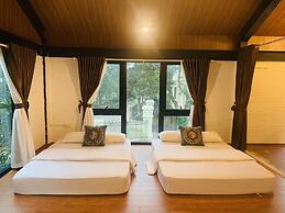 Dinh Gia Home