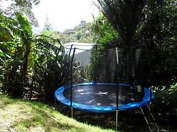 Palm Heights