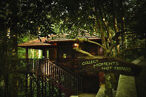 Wild Planet Resort