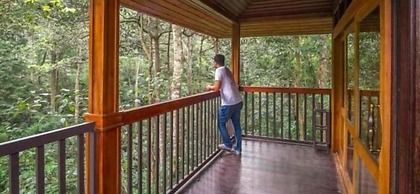 Wild Planet Resort