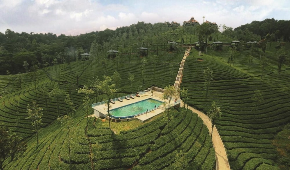 Wild Planet Resort