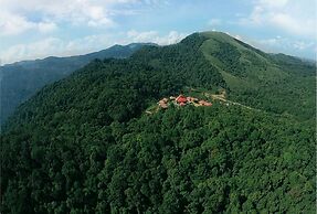 Wild Planet Resort