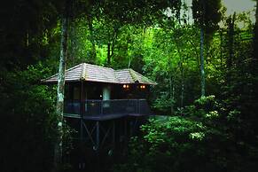Wild Planet Resort