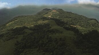 Wild Planet Resort
