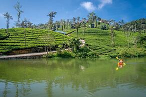 Wild Planet Resort