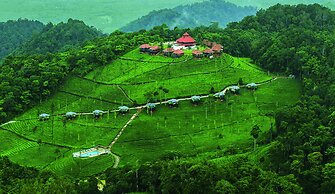 Wild Planet Resort