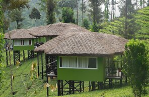 Wild Planet Resort