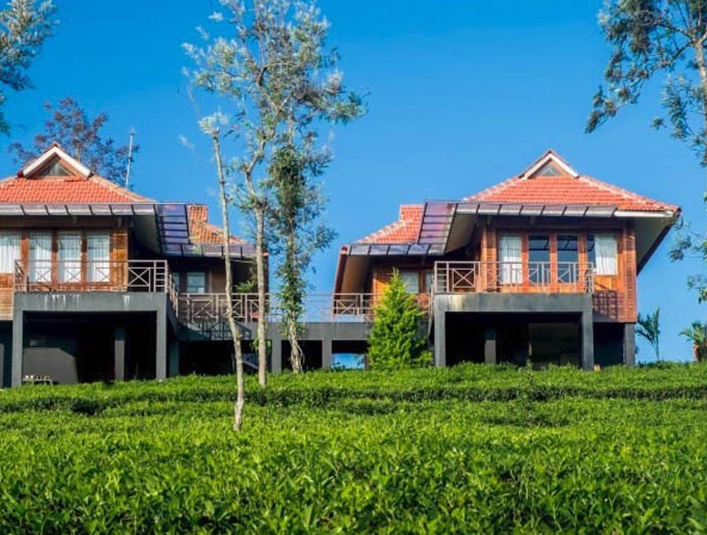 Wild Planet Resort