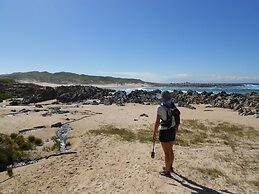 Seals Backpackers