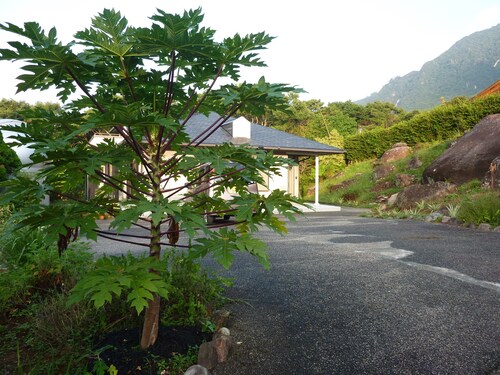 sora-mame