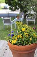 Alle Terme B&B