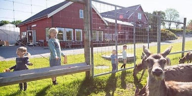 Hotell Frøya