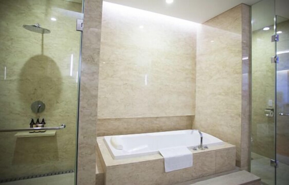 Hotel Maestro