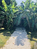 The Moso Vanuatu