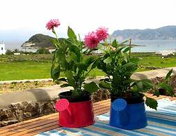 Kimolia Gi Studios