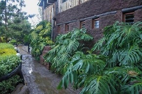 Dove Nest Lodge