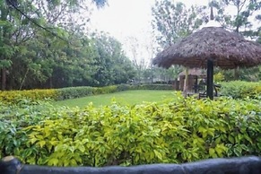 Dove Nest Lodge